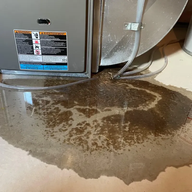 Appliance Leak Cleanup in Lake Park, IA